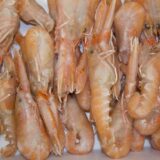 Scampi interi grandi sfusi