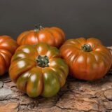 pomodoro costoluto