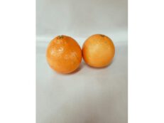 Arance Tarocco grosse
