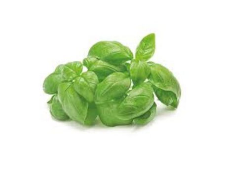 Maxi Mazzo di Basilico Genovese DOP