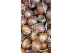 Cipolla bionda secca