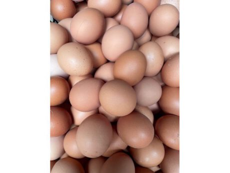 Confezione 6 uova fresche