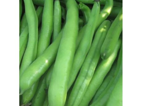 Fave Da Mangiare Crude