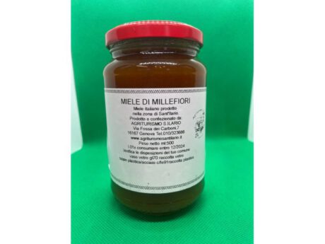 Miele Millefiori da 500 ml