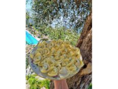 Pansotti (7 erbe selvatiche)