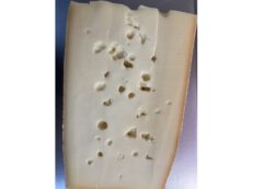 Toma S.Ilario semi stagionato