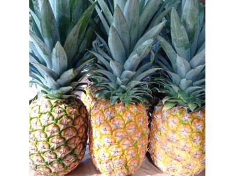 Ananas via Aerea