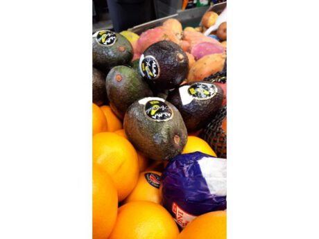 Avocado Hass (Perù) via Aerea