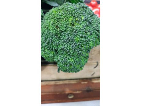 Broccolo