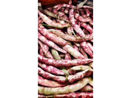 Fagioli Lumè (Italia)