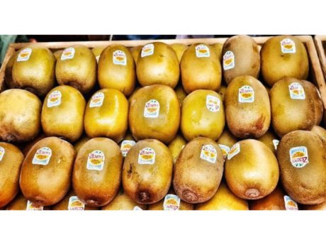 Kiwi Gold (Nuova Zelanda)