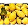 Limoni Non Trattati (Italia)