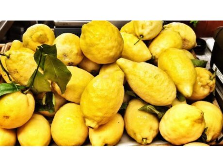 Limoni Non Trattati (Italia)