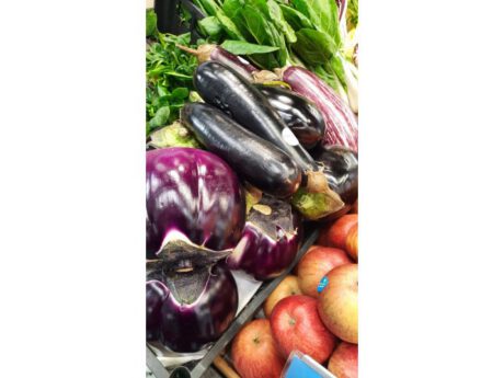 Melanzana Viola - Nera - Lunga