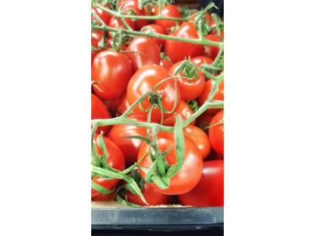 Pomodoro Piccadilly (Italia) (porzione da 500 gr.)