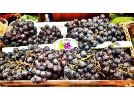 Uva Moscato d'Amburgo (Francia)