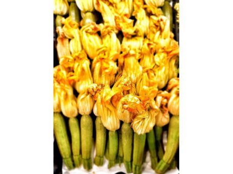 Zucchine (Italia)