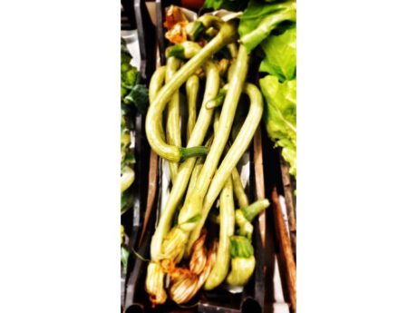 Zucchine Trombetta (Italia)