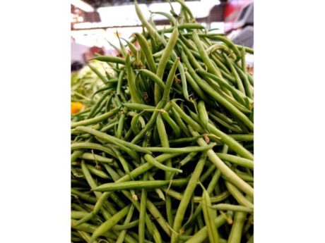 Fagiolini teneri senza filo Italia