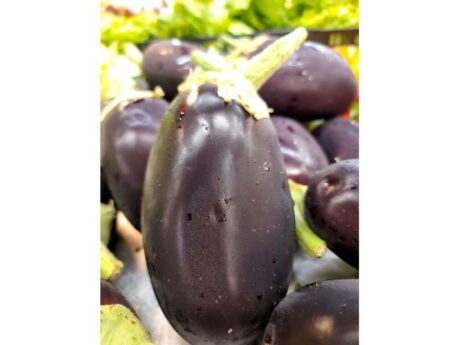 Melanzane nere italia