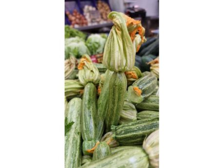 Zucchini riviera Italia