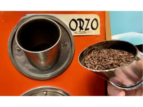 Orzo