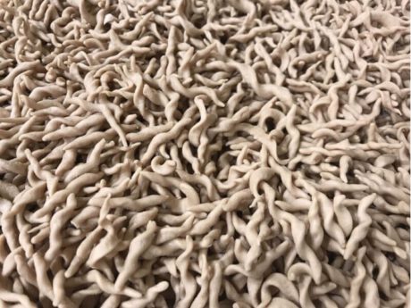 Trofie alle Castagne (porzione singola 150 gr.)