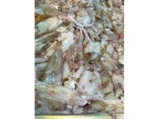 Calamari (circa 500 gr.)