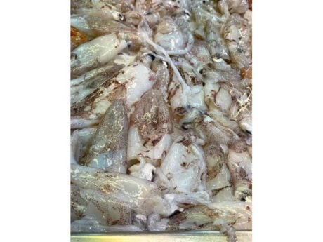 Calamari (circa 500 gr.)