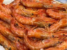 Gamberoni Congelati a Bordo (Argentina)