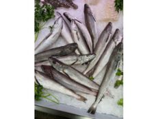 Nasello (ca. 400 gr.)