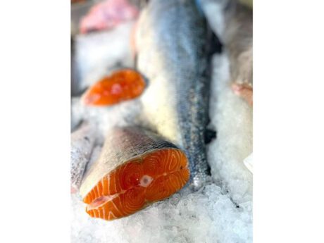 Salmone Allevato Norvegia