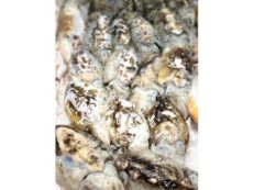 Seppie (circa 500gr.)