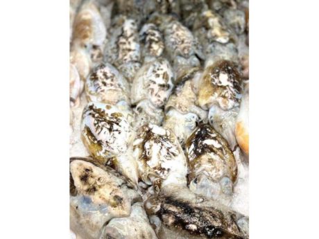 Seppie (circa 500gr.)