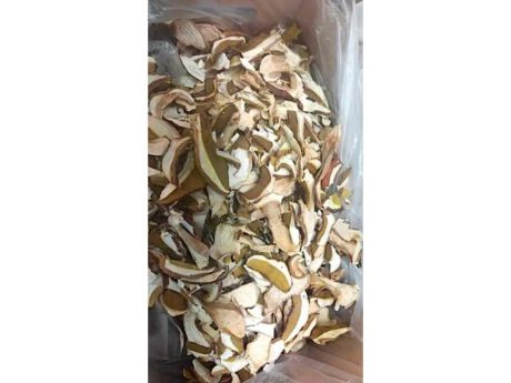 Funghi Porcini Extra (al cestino)