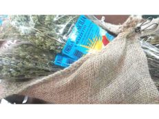 Origano Sicilia mazzo (al pz.)