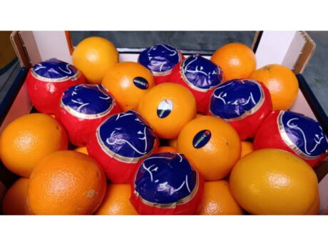 Arance Tarocco Cal.8 Italia Cat.1