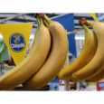 Banane Chiquita Cat.1