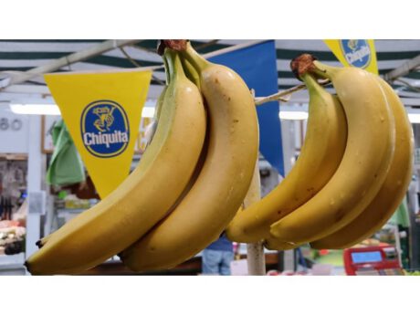 Banane Chiquita Cat.1