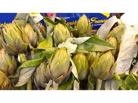 Carciofi Spinosi Cat.1 Italia (Sardegna) al pz.