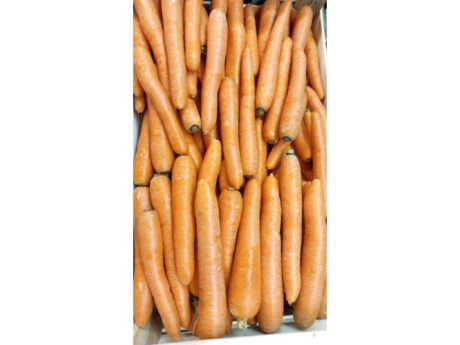 Carote Italia cat.1