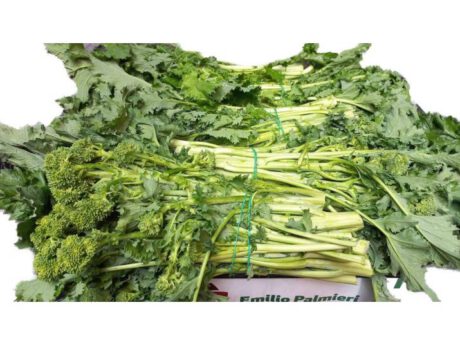 Cime di rapa Italia cat.1