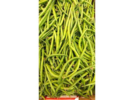 Fagiolini Italia cat.1 senza filo (ca. 500 gr.)