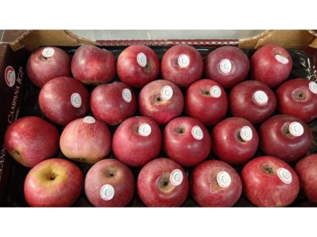 Mele Annurche IGP  Italia Cat. 1