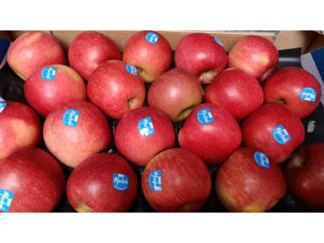 Mele Fuji Marlene Italia cat.1