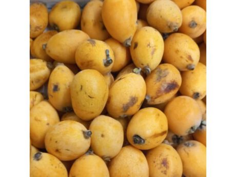 Nespole Spagna cat.1