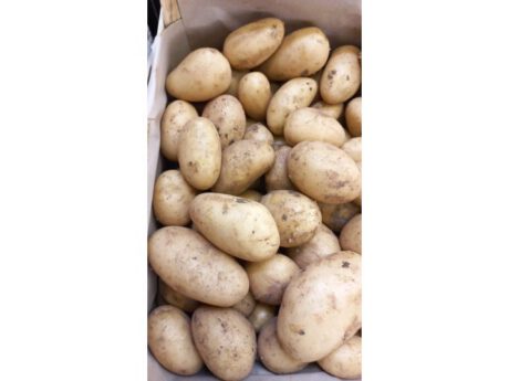 Patate Nuove Cat.1 Italia (Sicilia)