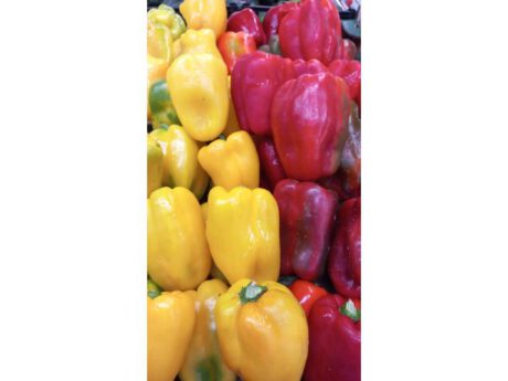 Peperone Sicilia (Italia) cat.1