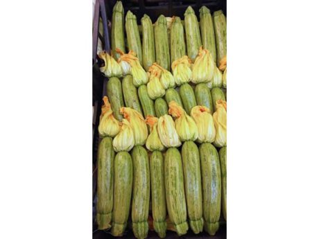 Zucchine Italia - Lazio cat.1