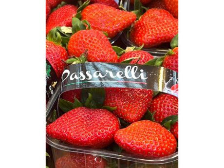 Fragole Italia al cestino circa 250 grammi